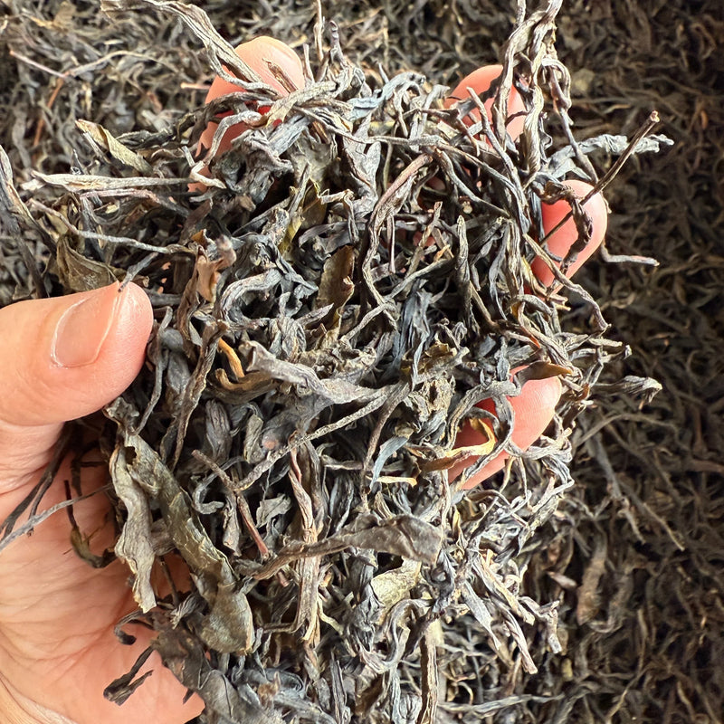 Pu'er Crus (Sheng) du Yunnan, Théiers Sauvages | Daothé