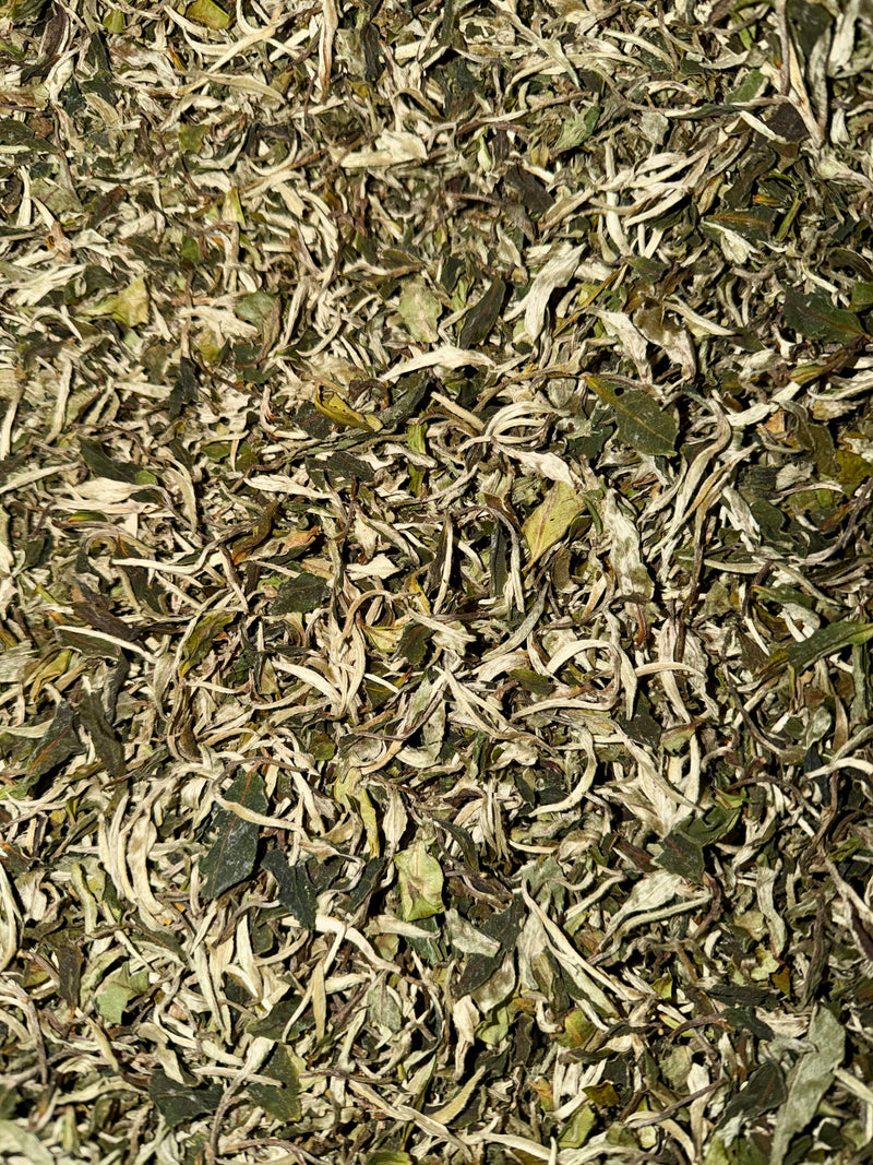 Thé Blanc du Yunnan, Bourgeons de Forêt | Daothé