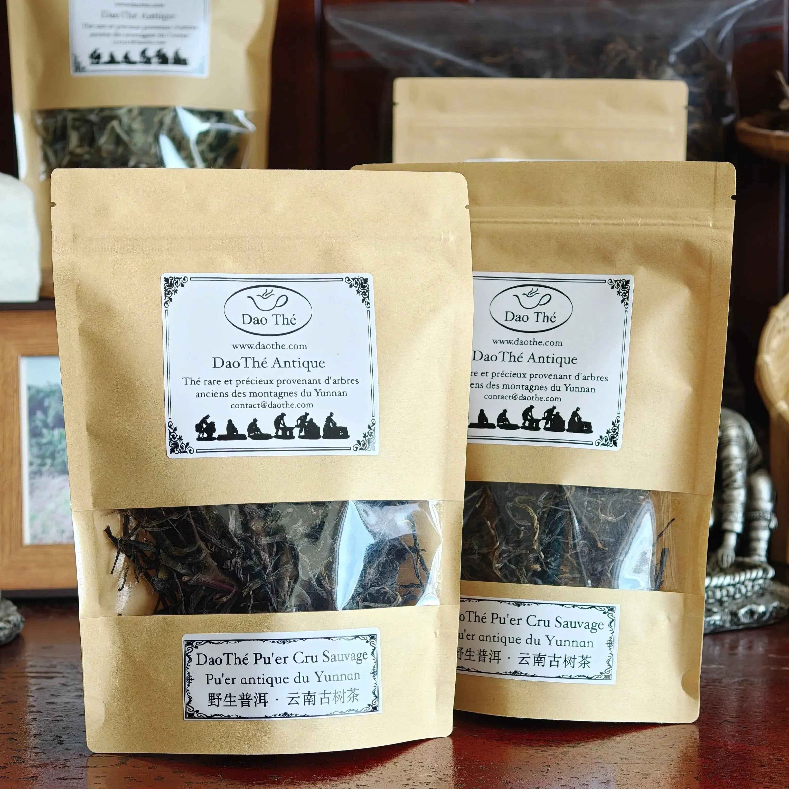 Feuilles sèches de Pu'er cru sauvage — théiers gushu centenaires, Yunnan