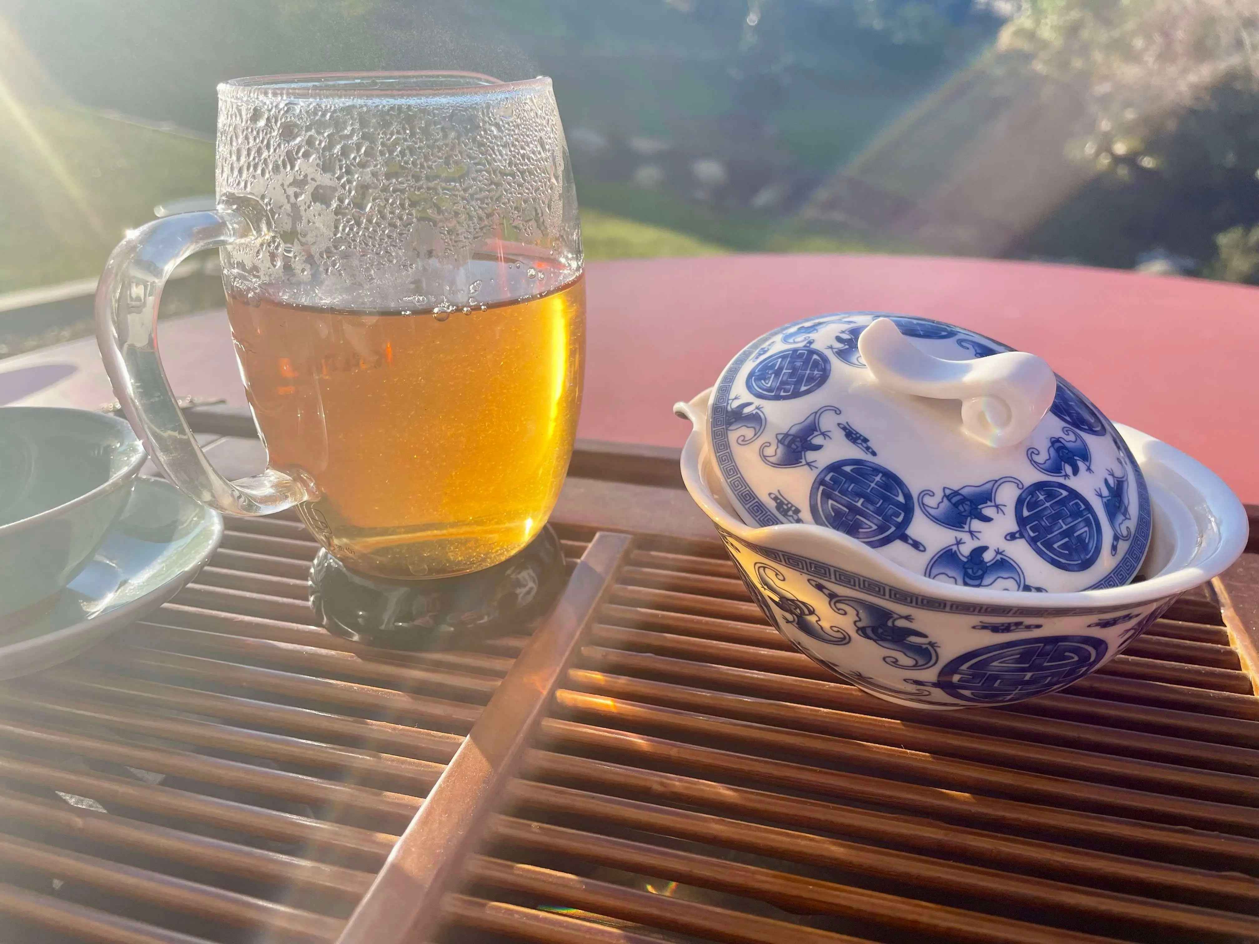 Pu'er cru sauvage antique DaoThé — thé peu théiné, théiers sauvages d'altitude