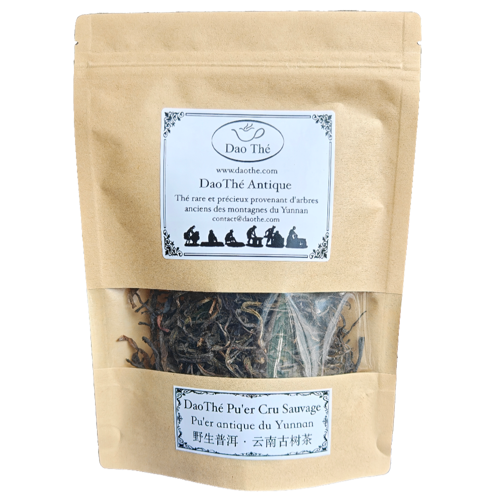 DaoThé - Thé Pu'er Sauvage Antique