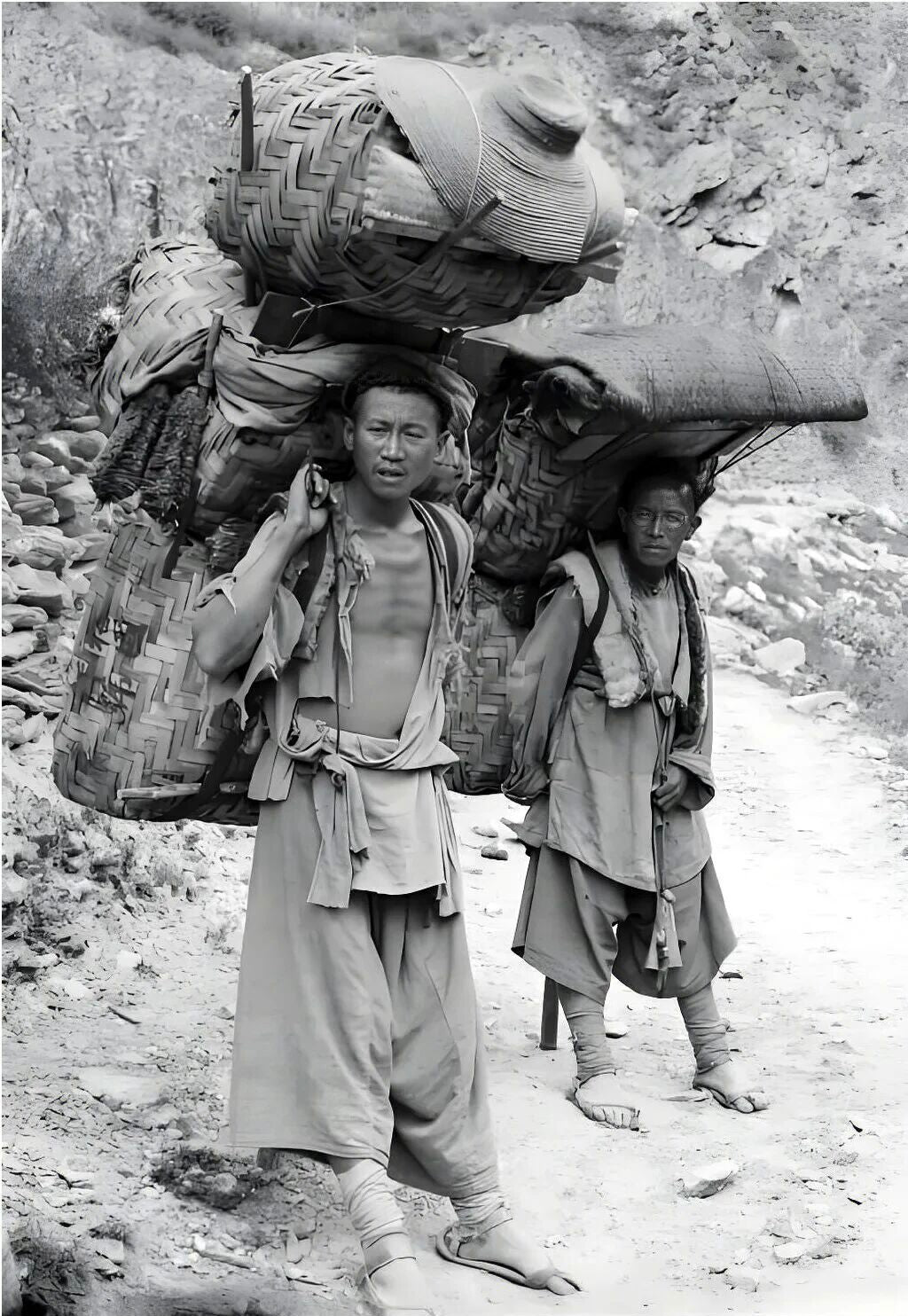 La route du thé et des chevaux : petite histoire du Pu'er