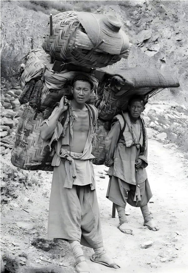 The Ancient Tea and Horse Road: A Brief History of Pu'er