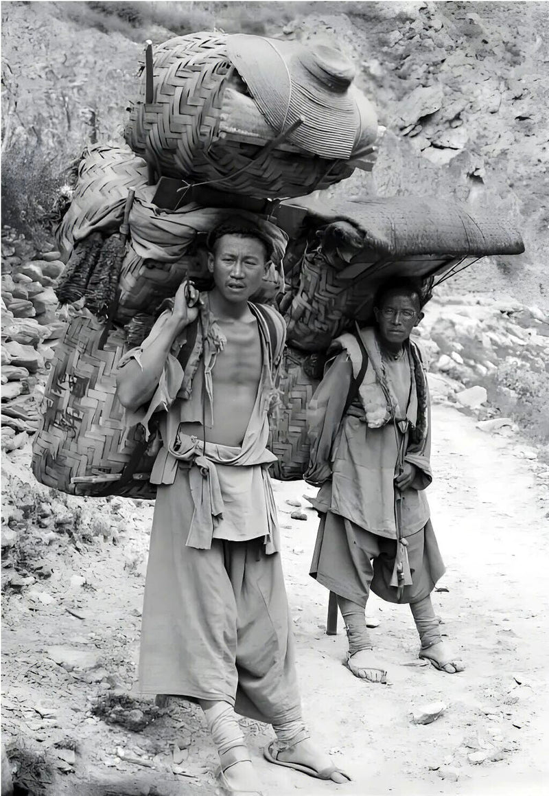 La route du thé et des chevaux : petite histoire du Pu'er