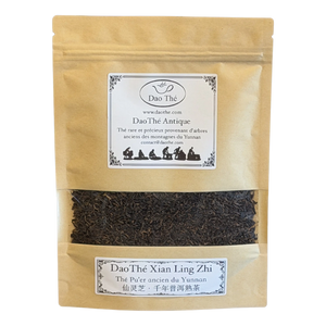 Pu'er fermenté GongTing Bingdao 20 ans XianLingZhi, bourgeons dorés en vrac, Shou Pu'er de théiers millénaires du Yunnan