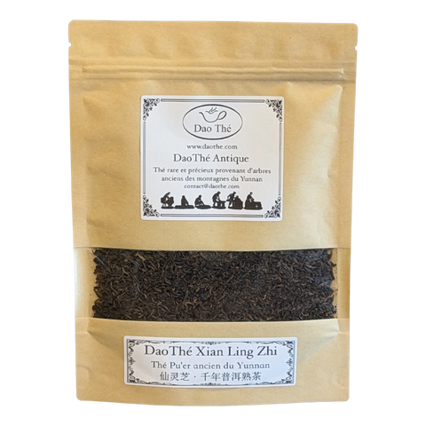 Pu'er Fermenté XianLingZhi, GongTing Bingdao 20 ans